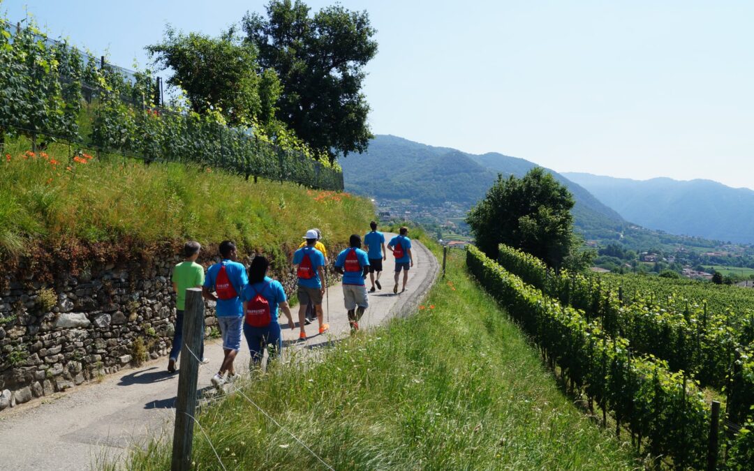 Walking Mendrisio: Percorso corto 2025