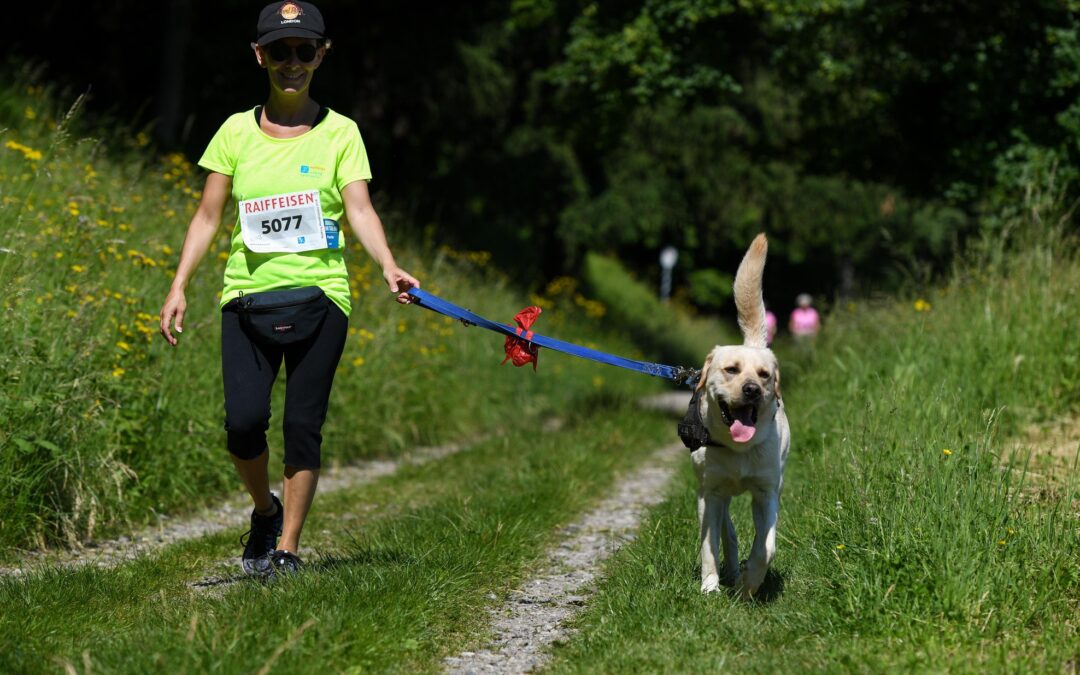 Walking & Dog Mendrisio: Camminata con cane 2025