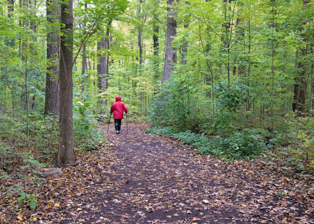 Nordic Walking durante l'autunno