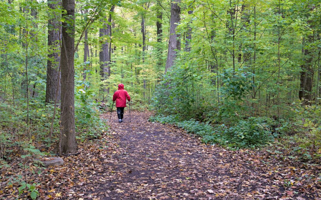 Incontri di Nordic Walking tra Ascona e Monte Verità