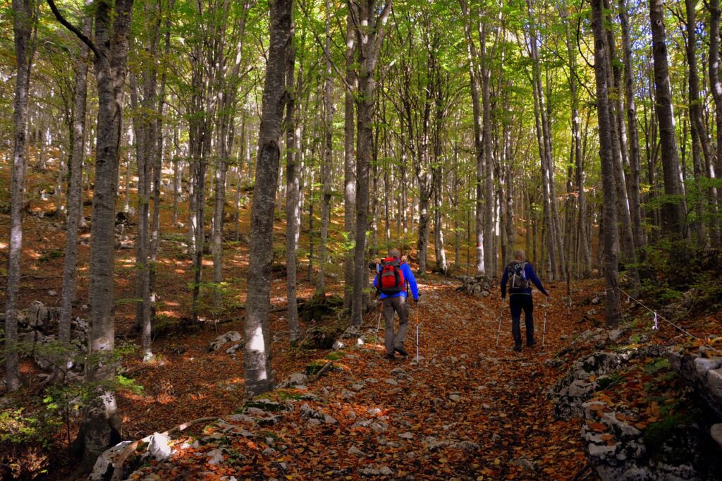 Nordic walking nel bosco