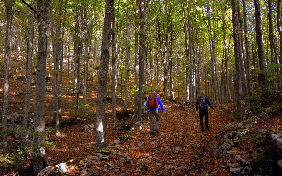 Incontri di Nordic Walking a Someo