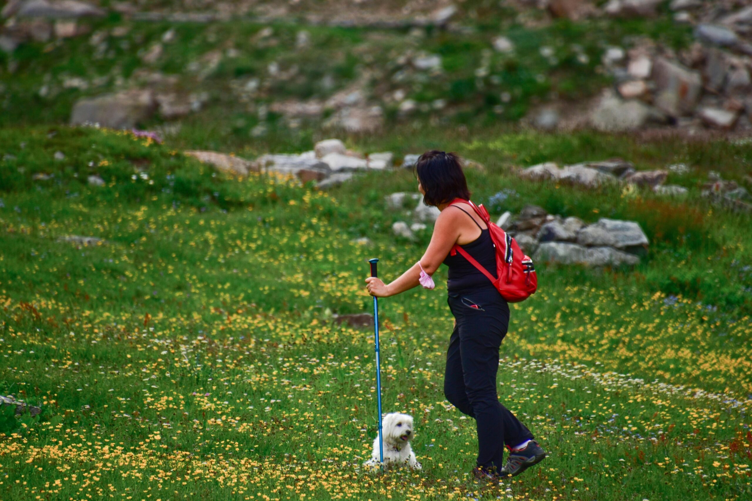 Donna pratica Nordic Walking
