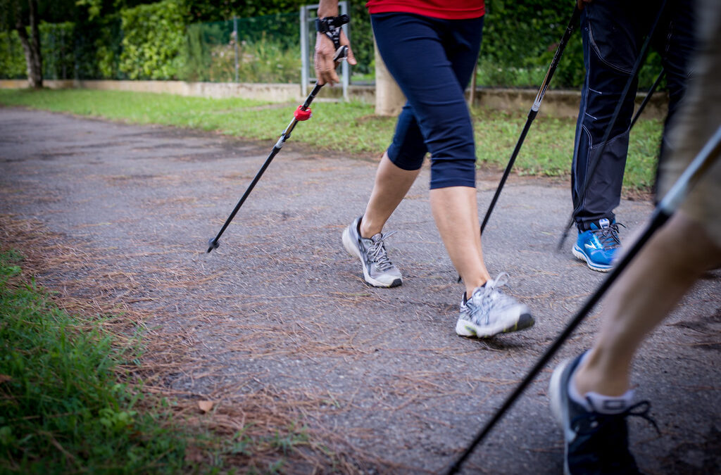 Incontri di Nordic Walking a Locarno