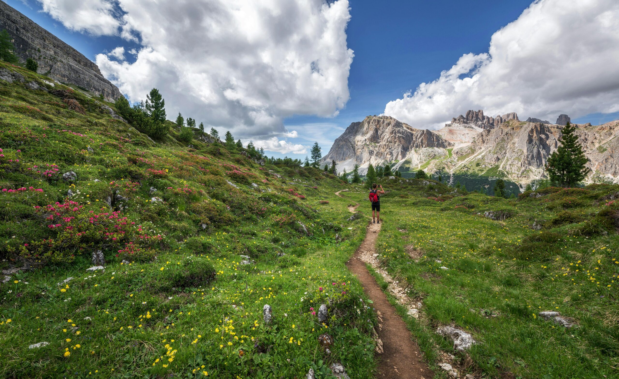 Mountain Run Trail