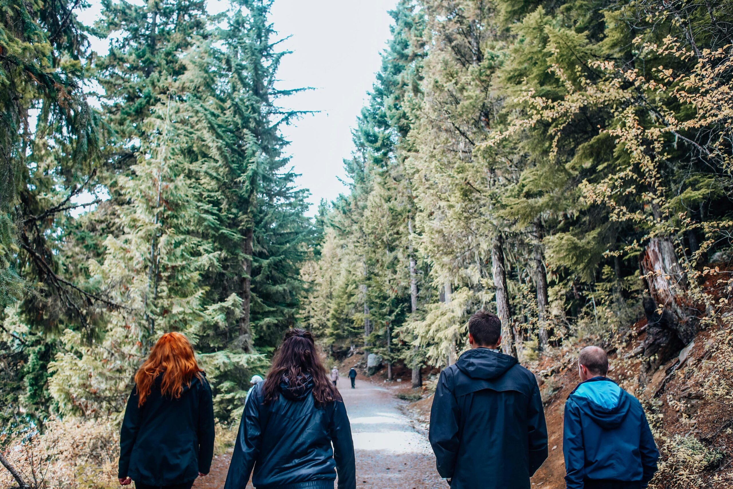 Trail walking in gruppo