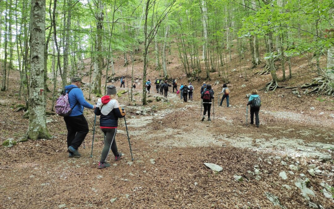 Camminata in montagna: San Giorgio Walking 2025