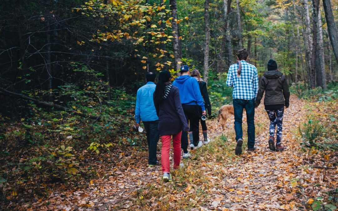 Camminata in montagna: generoso walking 2025