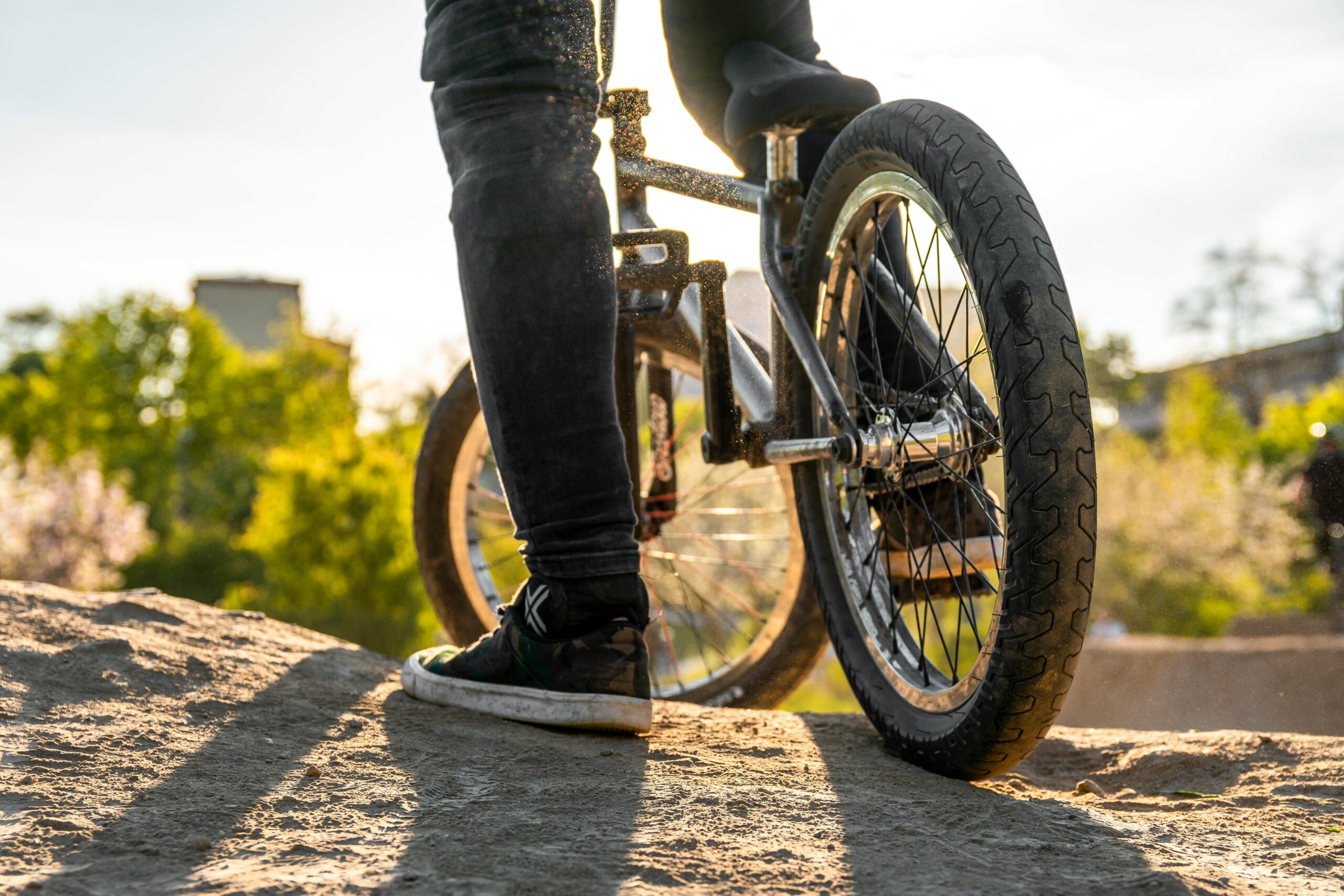 Bicicletta dettaglio