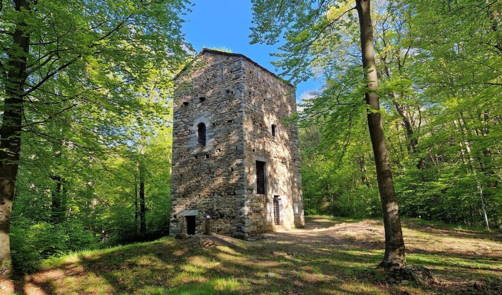 Redde Bosco