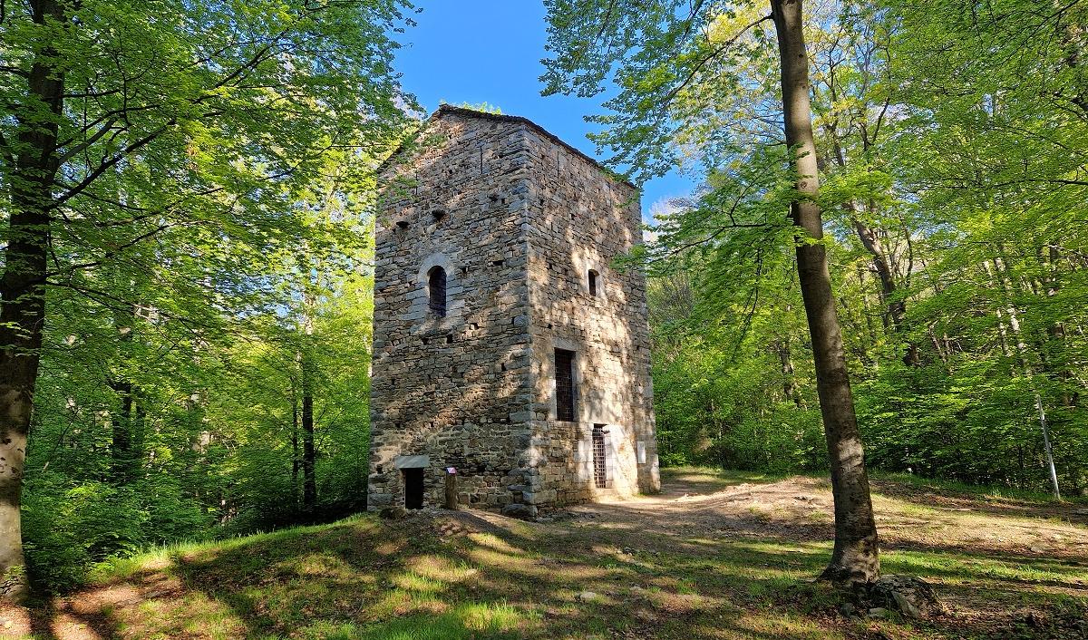 Redde Bosco