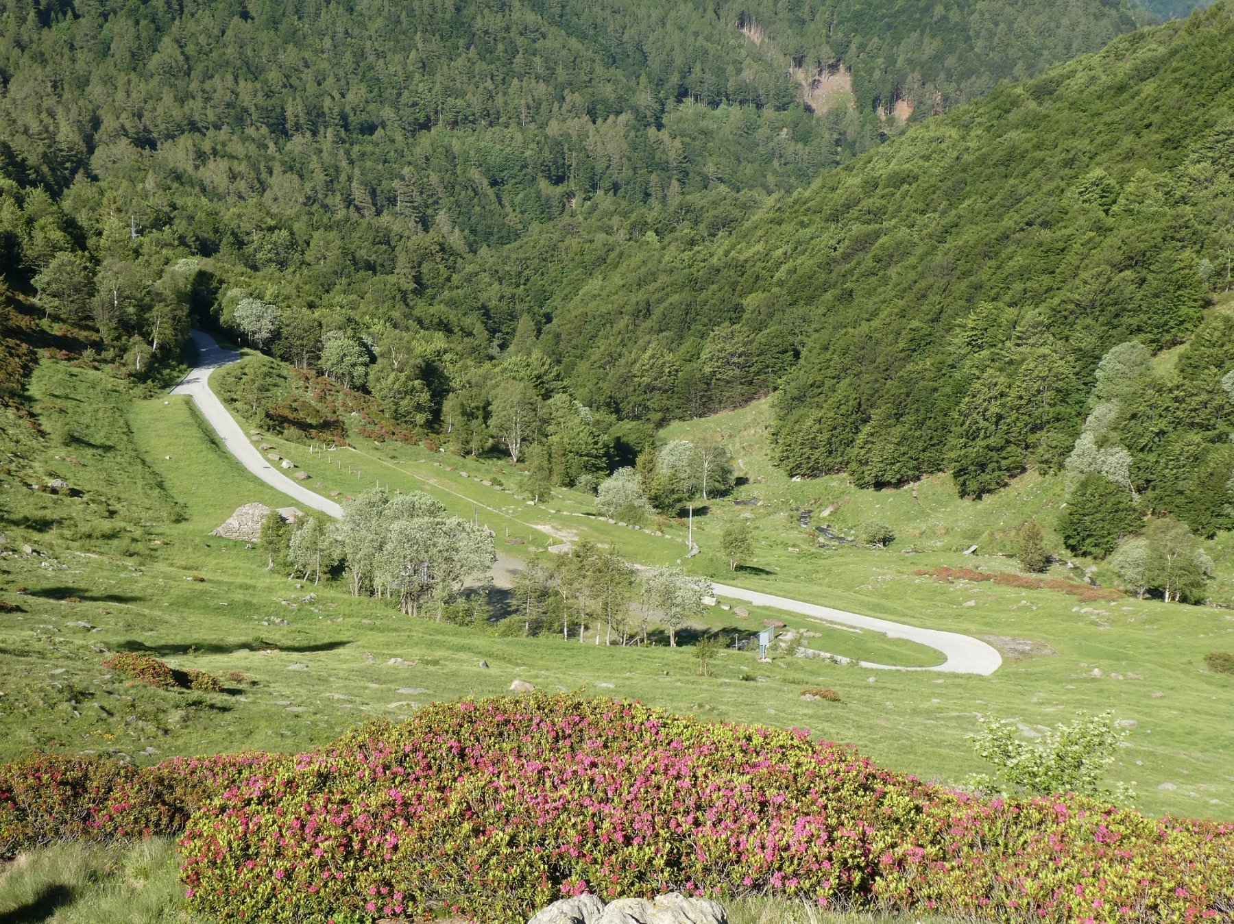 camoghe-monte-da-isone-per-la-valle-di-serdena_fb73