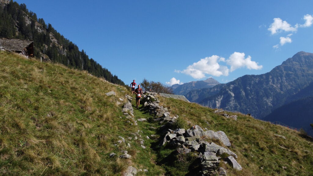 Landarenca Sprint