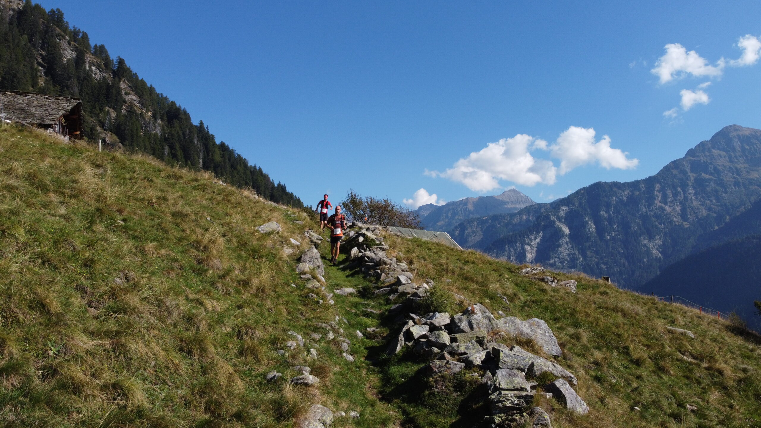 Landarenca Sprint