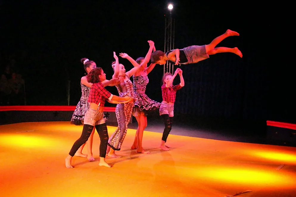 Circo Fortuna - 8° “FESTIVAL SUISSE CIRQUE DE JEUNESSE GINEVRA – 2014