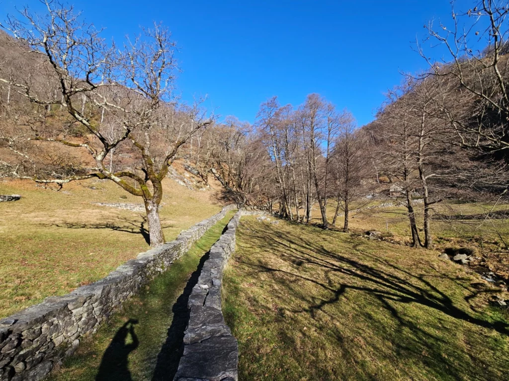 SENTORE DI PRIMAVERA SOPRA LE TERRE DI PEDEMONTE - TicinoSentieri