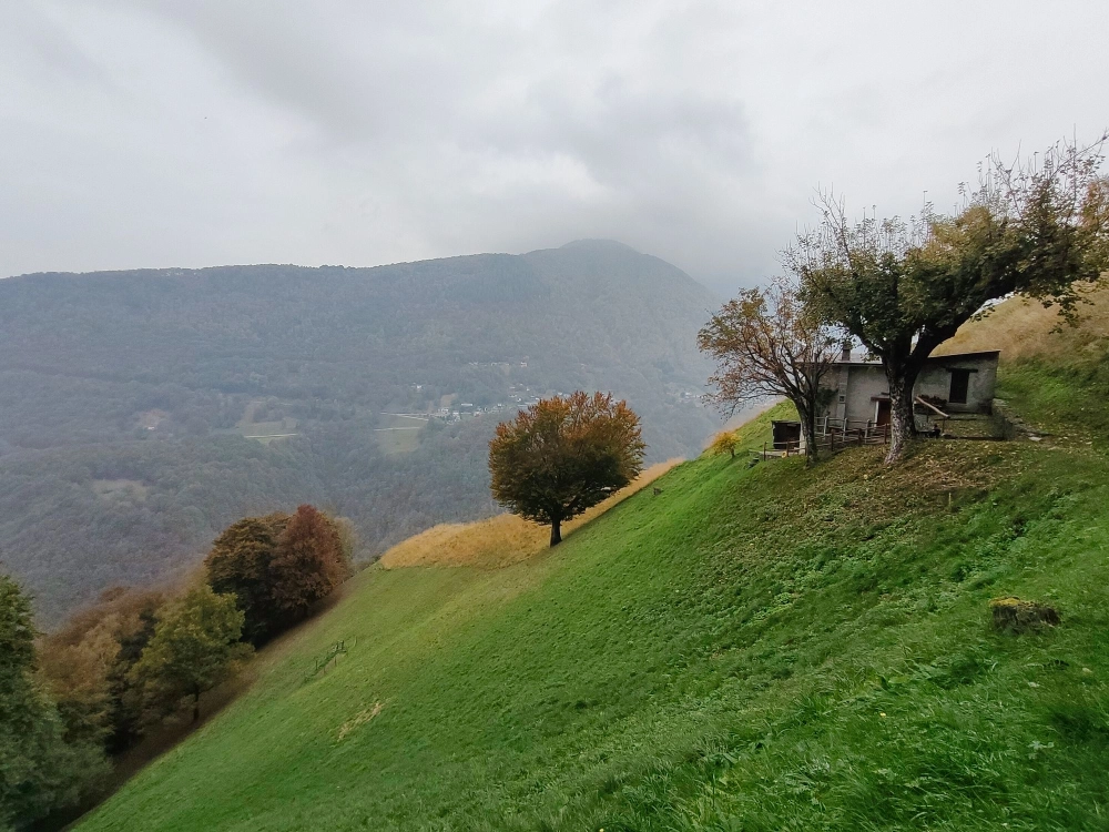 INSEGUENDO LA VIA DELL’ACQUA – TicinoSentieri INSEGUENDO LA VIA DELL'ACQUA - TicinoSentieri