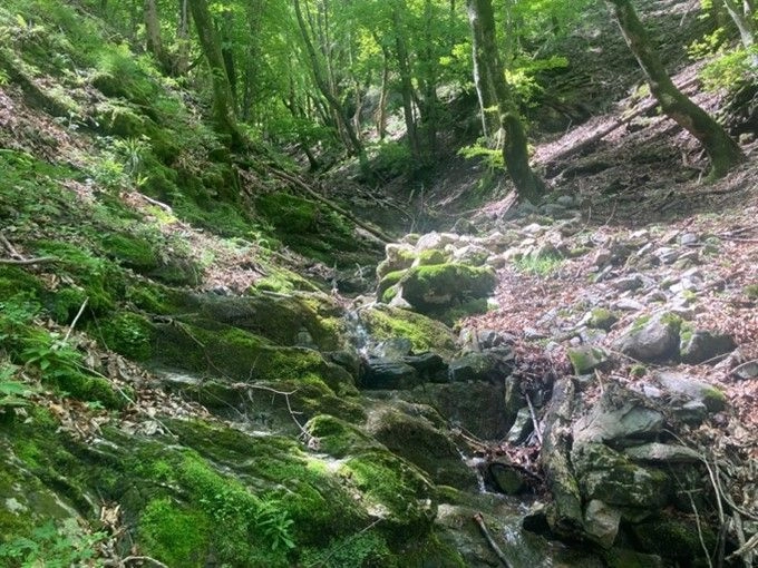 Valle di Muggio - TicinoSentieri