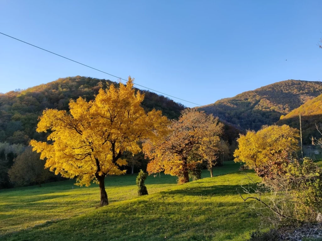 Valle dell'Oppio - TicinoSentieri