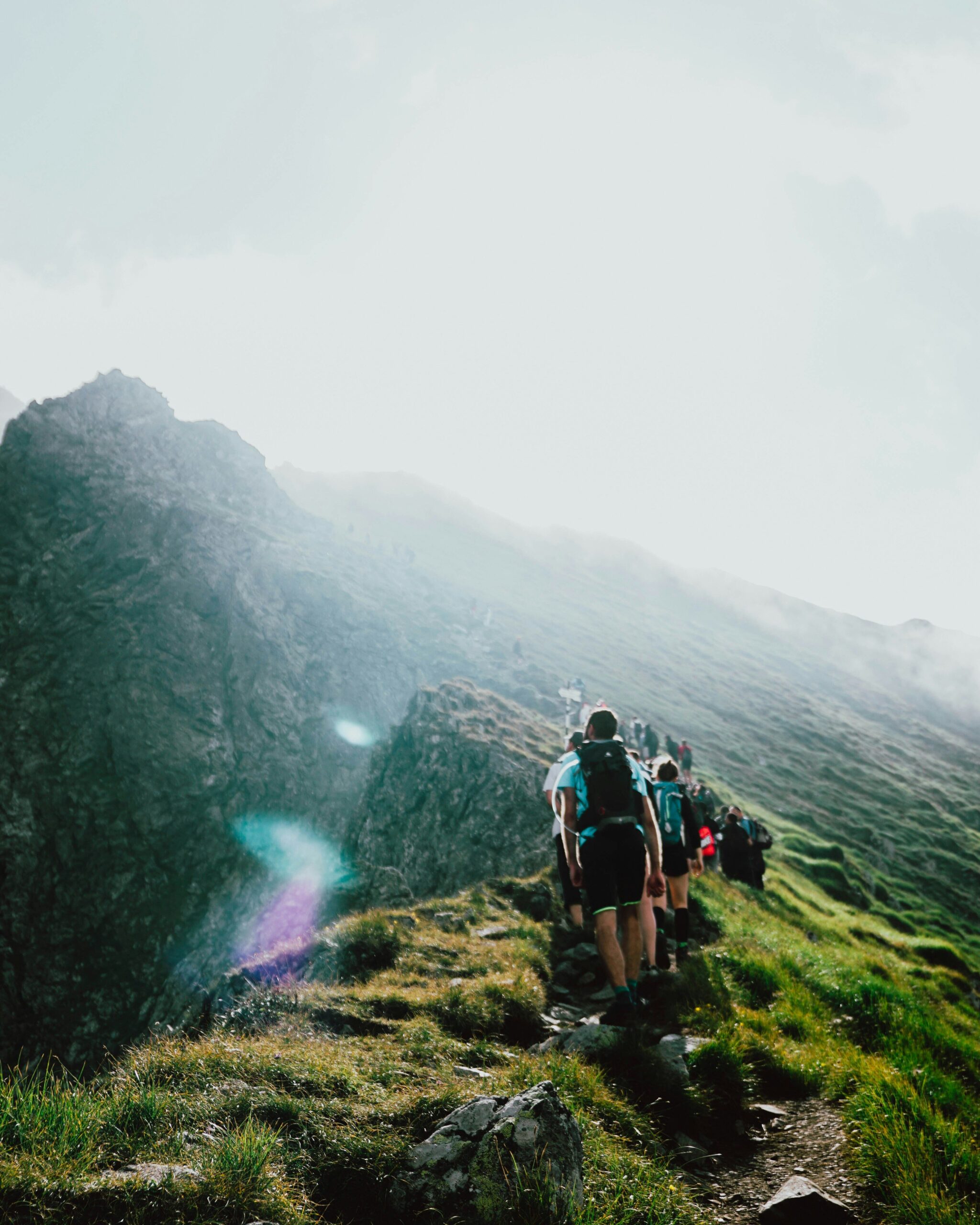 Due uomini che fanno hiking in montagna con una guida