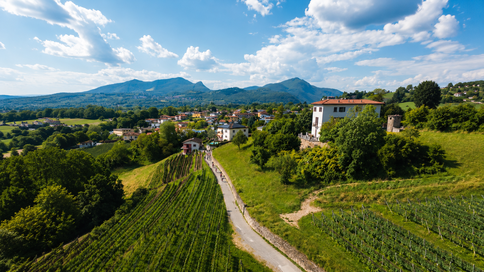 Bike’n’Wine Mendrisiotto IA