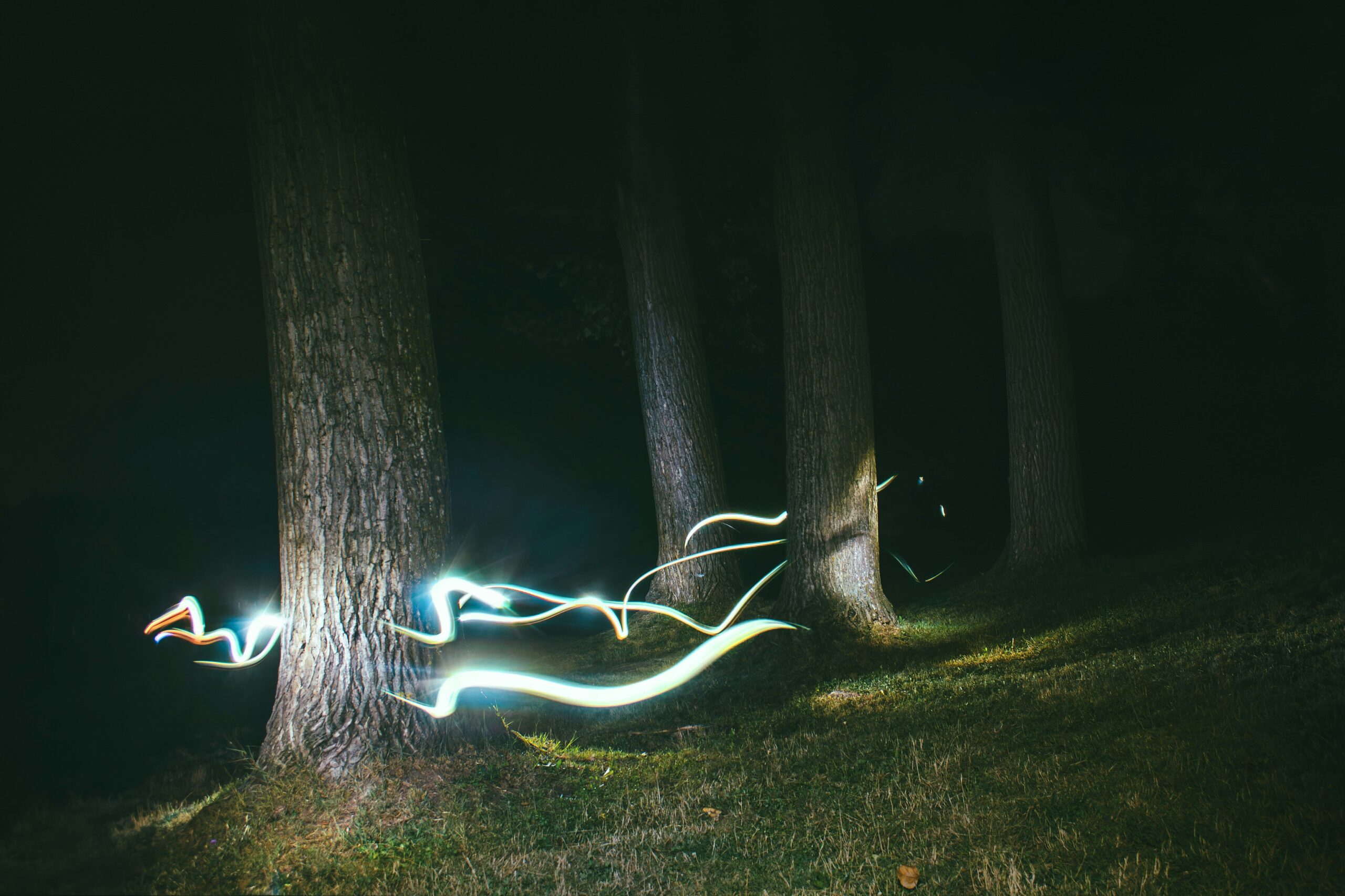 Runner notturno nel bosco