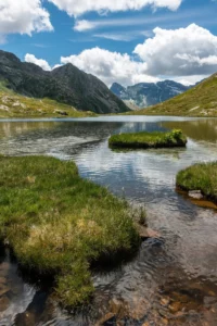 Erba e laghetto di montagna con lo sfondo delle alpi svizzere